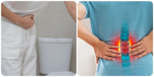 5 dấu hiệu thận đang kêu cứu- Ảnh 1.