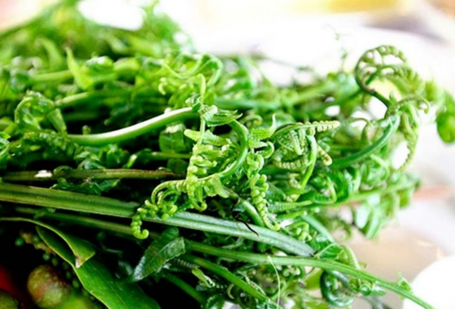 Giá trị dinh dưỡng của rau dớn