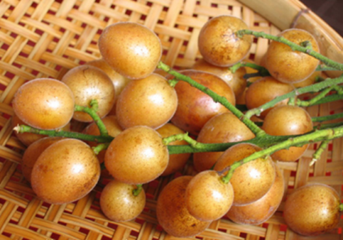 Hồng bì hấp muối