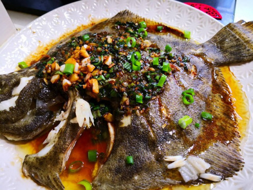 Cá bơn