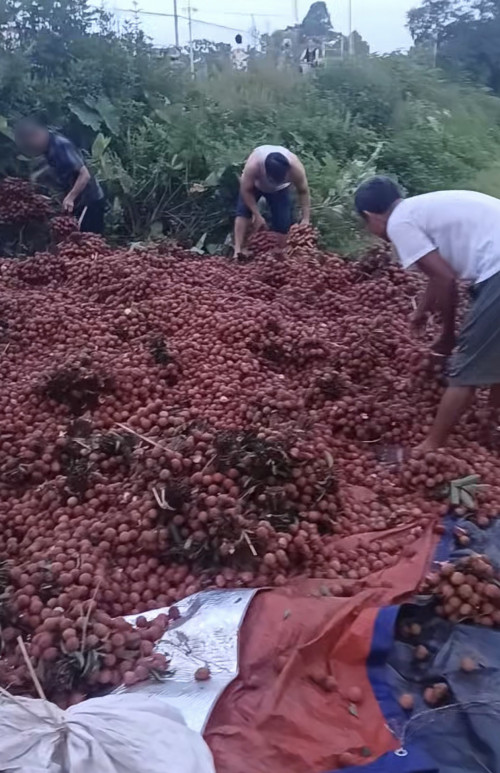 Vụ xe tải lật khiến người dân "hối hả": Chị xe nói "các bác đi đây là vãi của cháu" nhưng không ai quan tâm- Ảnh 1.