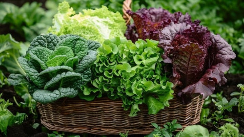 Rau sống thường không hết ký sinh trùng, chuyên gia chỉ cách ăn rau sống an toàn.