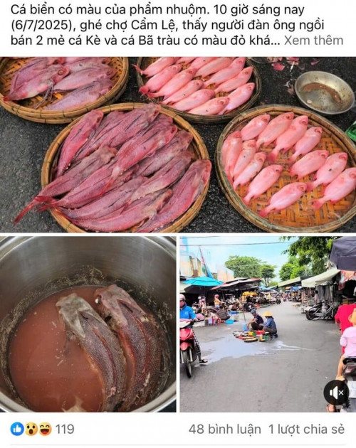 Cá biển có màu sắc bất thường.