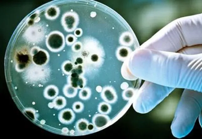 Nhiễm loại vi khuẩn kháng thuốc 'khét tiếng'