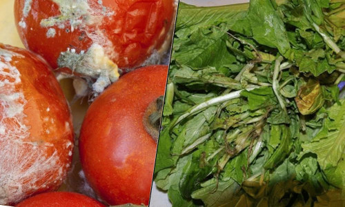 Ăn nhiều 5 loại rau này khác nào tự 