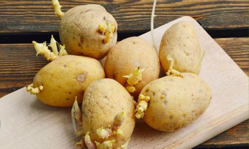 Ăn nhiều 5 loại rau này khác nào tự 