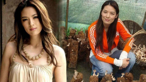 Mã Diệm Lệ