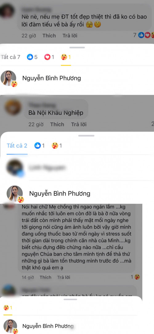 Hành động của Hoa hậu Bình Phương gây tranh cãi