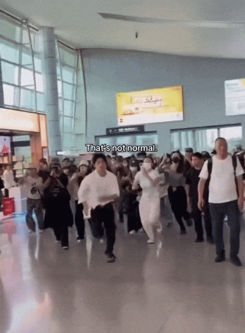 Tống Tử Du bị fan cuồng truy đuổi