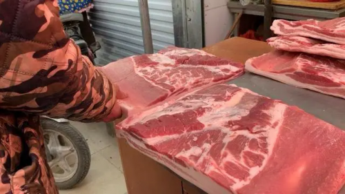 Tình hình kiểm tra lợn
