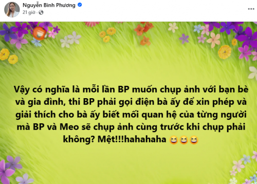 Vụ kiện giữa Hoa hậu Bình Phương gây tranh cãi về cách xưng hô với mẹ chồng