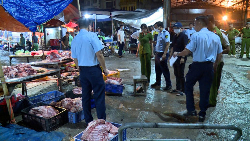 Lợn bệnh được tiêu hủy