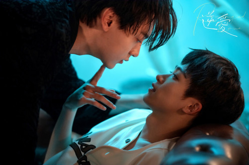 Cảm sóng 'hot boy đam mỹ' bị 5 cô gái phốt không ngừng nghỉ, bạn diễn phát nguyện 10 ngày cùng chung cảnh ngộ - Ảnh 2.