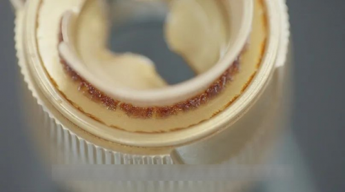 Chuyên gia cảnh báo: Thực phẩm gây nấm mốc gia vị đã được xác định! 90% hộ gia đình mắc lỗi bảo quản!