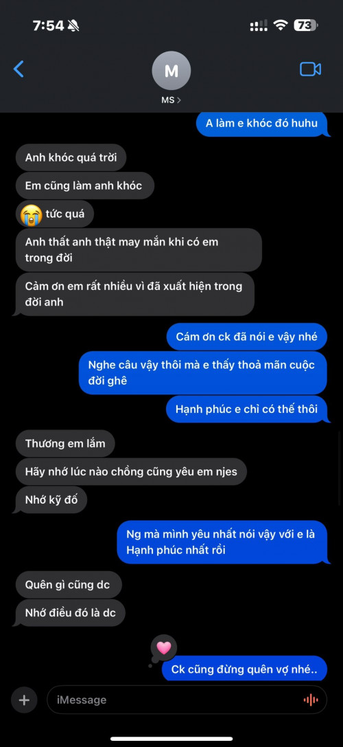 Cảnh Trấn Thành và Hari Won.