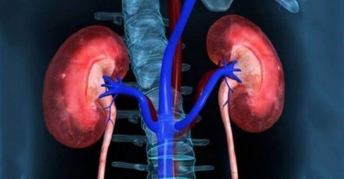 Dấu hiệu cảnh báo tổn thương thận cấp- Ảnh 1.
