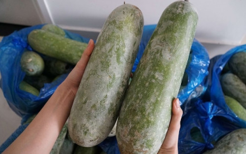 Giải mã trào lưu ngủ chung với bí đao, bác sĩ: Mát, khỏe thật hay giả?