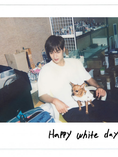 Lee Min Ho đón nhận mất mát lớn trước ngày trở lại màn ảnh rộng- Ảnh 1.