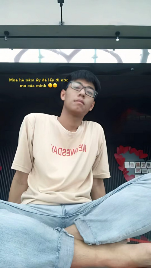 Thế Anh trước tai nạn