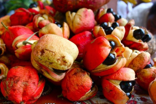 Quả Ackee