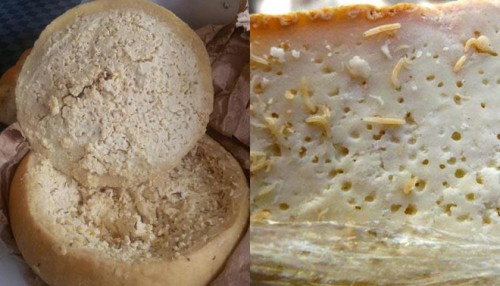 Phô mai Casu Marzu