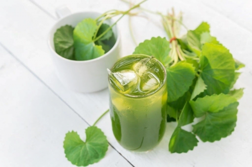 Món ngon từ rau má
