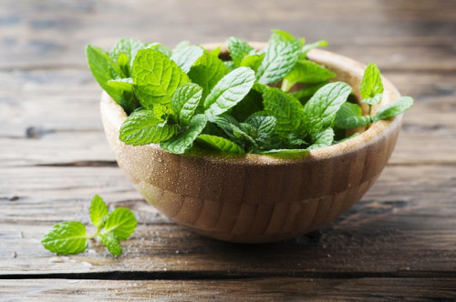 Trà bạc hà có thể giúp phòng ngừa tiểu đường