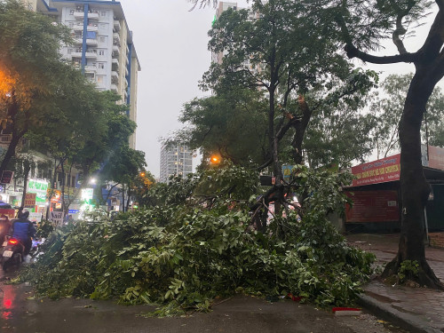 Cảnh tan hoang sau bão.