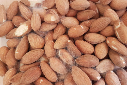 Hạt bị nấm mốc