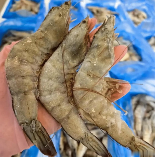 Chọn tôm đông lạnh đúng cách