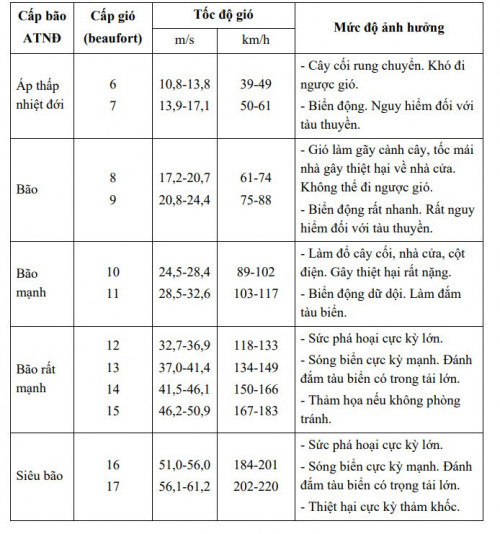 Cảnh báo bão