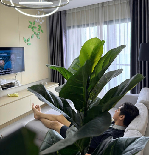 Thông tin mới về diễn viên Huỳnh Anh Tuấn sau đột quỵ - Ảnh 2.