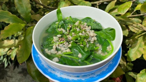 Rau mồng tơi cung cấp nhiều dinh dưỡng.