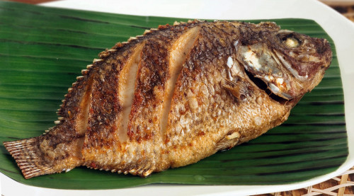 Cá rô phi giàu vitamin D