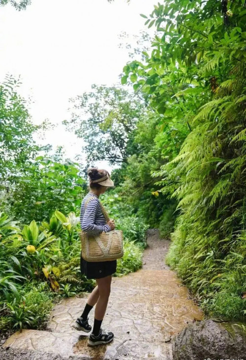 Tôn Lệ cùng các con trekking xuyên rừng