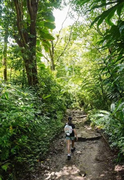 Tôn Lệ cùng các con trekking xuyên rừng