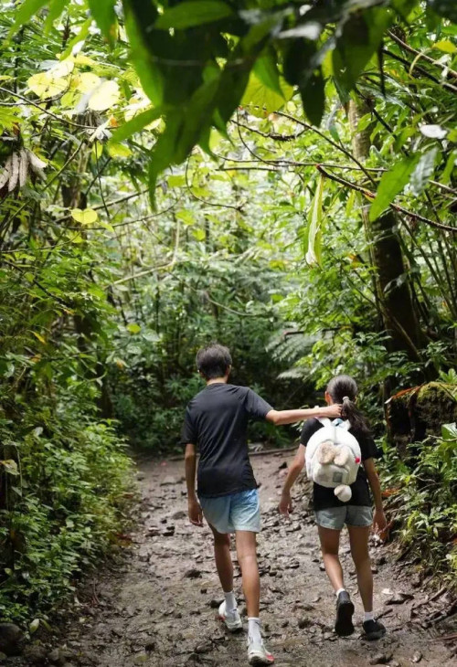 Tôn Lệ cùng các con trekking xuyên rừng
