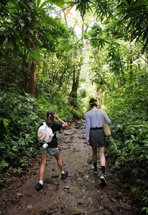 Tôn Lệ cùng các con trekking xuyên rừng
