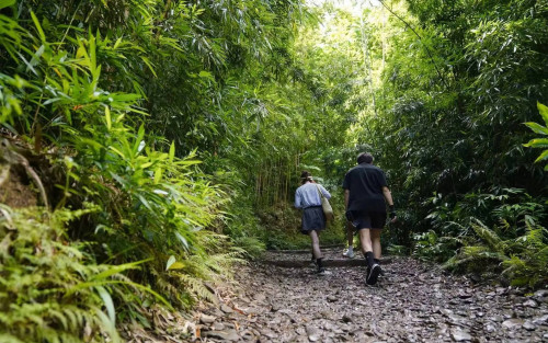 Tôn Lệ cùng các con trekking xuyên rừng