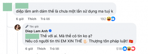 Diệp Lâm Anh: "Tôi xin thề chưa một lần sử dụng ma túy"- Ảnh 1.