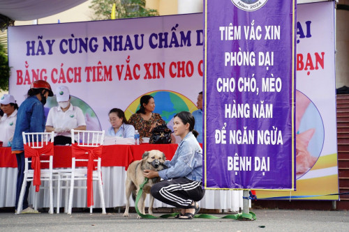 Tình hình bệnh dại nguy hiểm