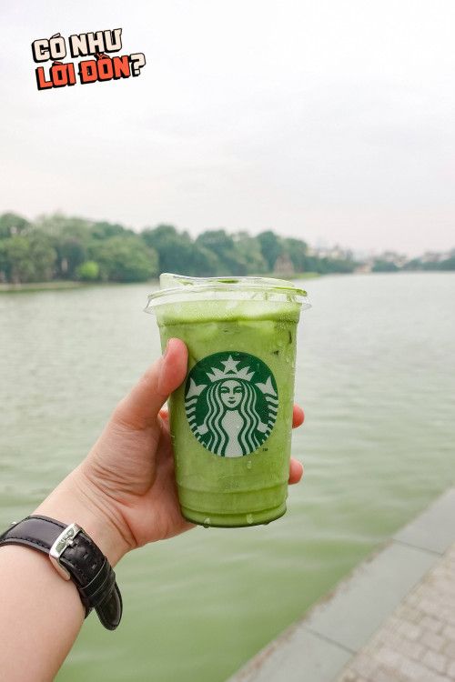 Giá ly Pure Matcha