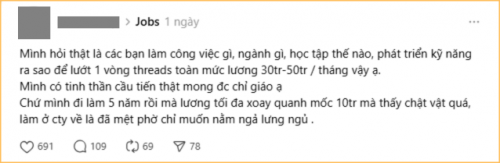 Chế lương 20 triệu mà vẫn chán, dân mạng quay sang hỏi nhau: Sao thu nhập trăm triệu/tháng hay vậy?- Ảnh 1.